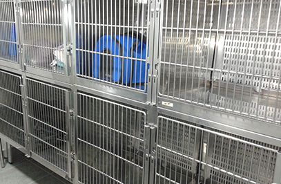 Clínica Veterinaria Animais jaula para mascotas